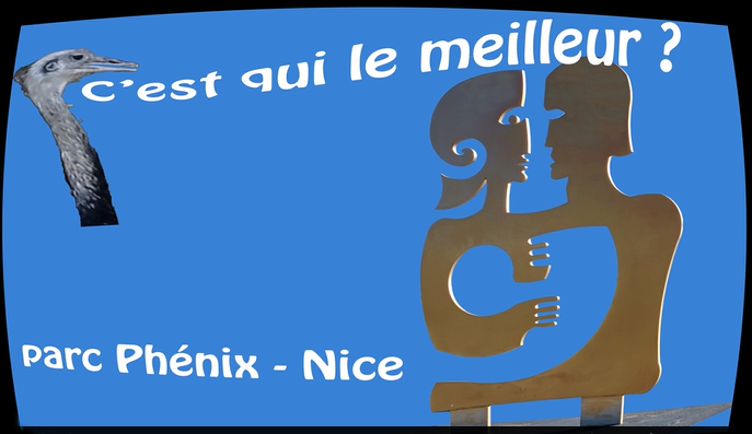autruches parc phenix