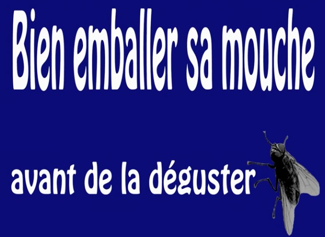 faucheux mouche