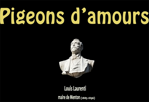 pigeons mairie