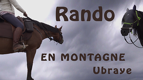 rando b