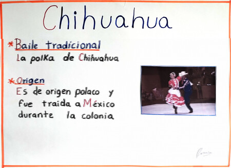 13 chihuahua